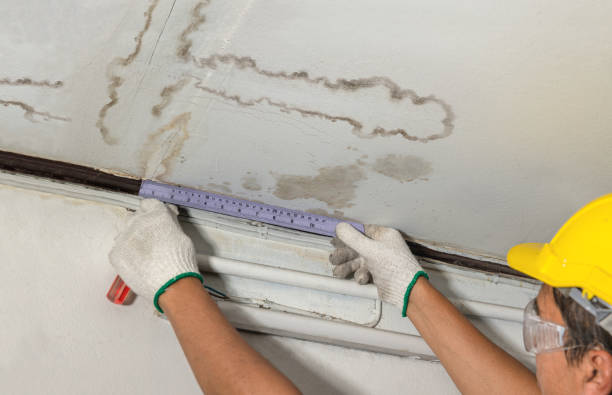 Reliable Mold Remediation contractor in East Spencer, NC by Water Damage Irwin